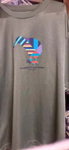 Item thumbnail for item 8df1a4a8-118b-4944-91ea-5400ffd03919