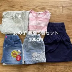 女の子 女児 春夏 100cm 5着 まとめ売り キッズ服セット