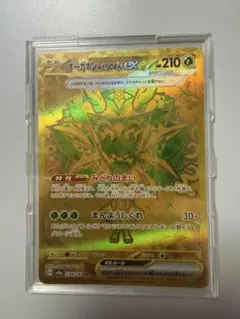 2026年最新】草エネルギー urの人気アイテム - メルカリ