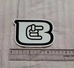 Item thumbnail for item 408cf981-e65c-4b11-973f-c84720b59ade