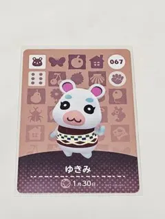 どうぶつの森　あつ森　amiiboカード　ゆきみ　ハムスター