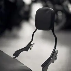 HD純正 デタッチャブルパッセンジャー ショートシーシーバー＆パット 