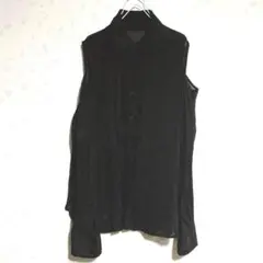 ブラックノースリーブシャツ 長袖 シースルー Free size 襟付き　ボタン