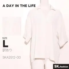 訳あり A DAY IN THE LIFE トップス ブラウス　半袖　Vネックのサムネイル