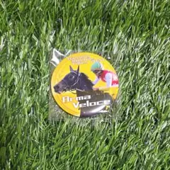 JRA 缶バッチ アルマヴェローチェ ガチャ