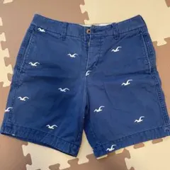 Hollister ネイビー ショートパンツ 28