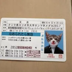 なめ猫の運転免許証風カード - メルカリ
