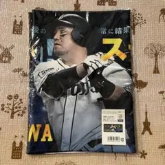 山川穂高 ハイブリッドフェイスタオル