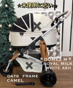 Item thumbnail for item 067ae184-0fdc-4218-afc9-f06608cc92a8