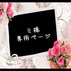 ミ様専用ページ ※ご本人様以外購入しないでください