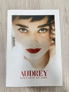 AUDREY MORE THAN AN ICON