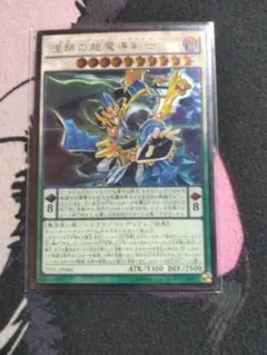 遊戯王 ニルヴァーナ・ハイ・パラディン - メルカリ