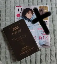 【未使用】リンネル3月号付録　ファー2wayバッグ　※雑誌なし