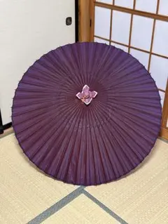 蛇の目傘　羽二重傘　番傘　和傘　傘　粋　着物　舞踊　大衆演劇　芝居　和装　撮影