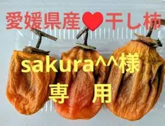 愛媛県産♥干し柿（愛宕柿）
