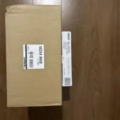 【新品セット】オーデリック OG254960 ＋専用LEDランプ NO253SL