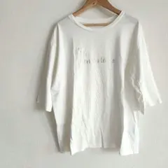DRESKIPワールドレディースTシャツコットン100%大きめサイズLマタニティのサムネイル