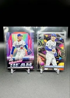 Item thumbnail for item e9180ca5-07e0-4f64-adfb-0fd015db86fc