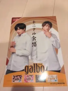 中島健人・菊池風磨　ガルボ　A4ファイル