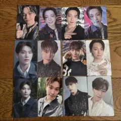 SEVENTEEN セブチ DINO ディノ 特典 会場限定 トレカ