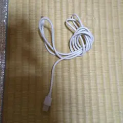 USB Type-AとMicro USB Type-Bのケーブル