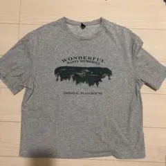 グラフィックプリント 半袖Tシャツ グレー