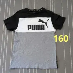 PUMA プーマ 半袖Tシャツ 160 ブラック グレー