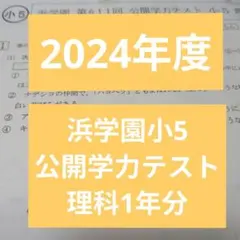 2026年最新】浜学園 小5 公開テストの人気アイテム - メルカリ