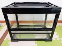 2026年最新】爬虫類倶楽部オリジナルケージの人気アイテム - メルカリ