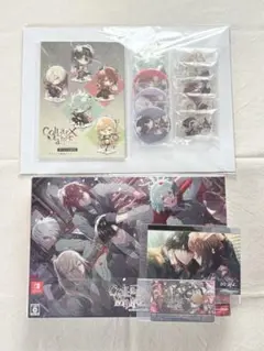 カラー×マリス スペシャルBOX アニメイト カラマリ カラーマリス 小冊子