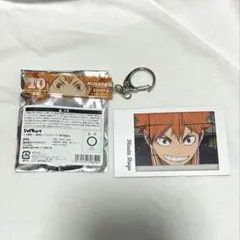 ハイキュー‼︎ 日向翔陽 キャラポトレ2 アクキーセット