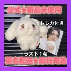 ATEEZ TINY ANITEEZ PLUSH DOLL トレカ　ヨサン