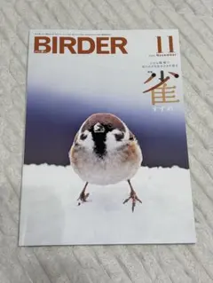 2026年最新】Birder 雑誌の人気アイテム - メルカリ