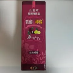 【エビちゃん様専用】若榴da檸檬（ざくろだれもん）　言歩木（ことほぎ）