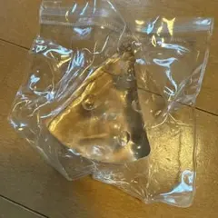 透明　チーズ　スクイーズ