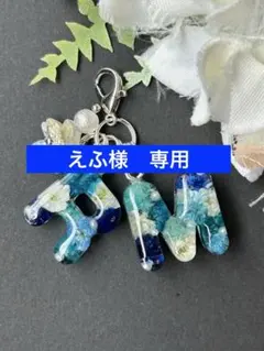 えふ様　専用　MR ミニミニ　イニシャルチャーム　ブルー系ドライフラワー