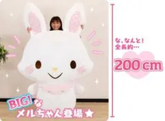 ウィッシュミーメル BIGぬいぐるみ 9492580.jpg.l_thumbnail.webp