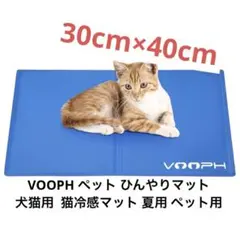 Item thumbnail for item 1d94ff38-e71d-457a-9eba-cf3201559c36