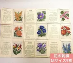 riko様 リクエスト 3点 まとめ商品