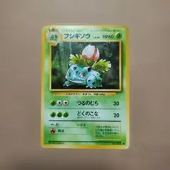 旧裏　フシギソウ