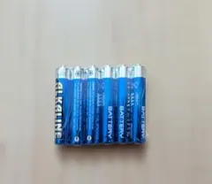 新品 アルカリ乾電池 単6電池 6本