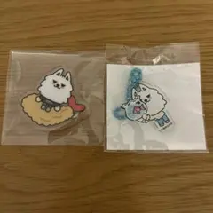 TXT ヨンモン ご当地 愛知 バッジ アクキー