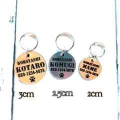 Item thumbnail for item 7ec04742-e48f-4ef3-b586-564bcfbe2305