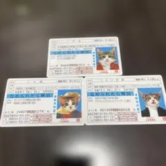 なめ猫 免許証 3枚セット おまとめ 新品未使用