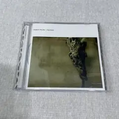 People In The Box Frog Queen 残響