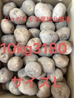 【農薬不使用】旨味！ニシユタカ 約8kg サイズ混合 訳あり 秋植え種芋にも！ 農薬不使用】旨味！ニシユタカ 約8kg サイズ混合 訳あり 秋植え種芋に