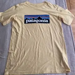 patagonia 黄色Tシャツ コットン100