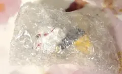 刀剣乱舞 ぬーどるストッパーフィギュア こんのすけ