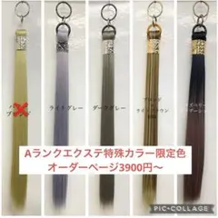 ポニーテールリング　Aランク特殊カラー限定色3900円〜　オーダーページのサムネイル