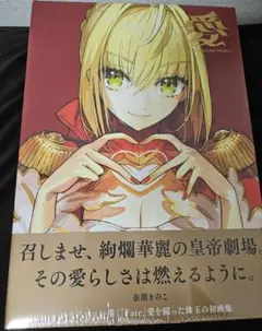 Divine Gate 公式アートワークス 2冊セット - メルカリ